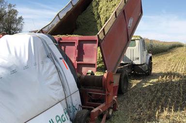 Bagging silage