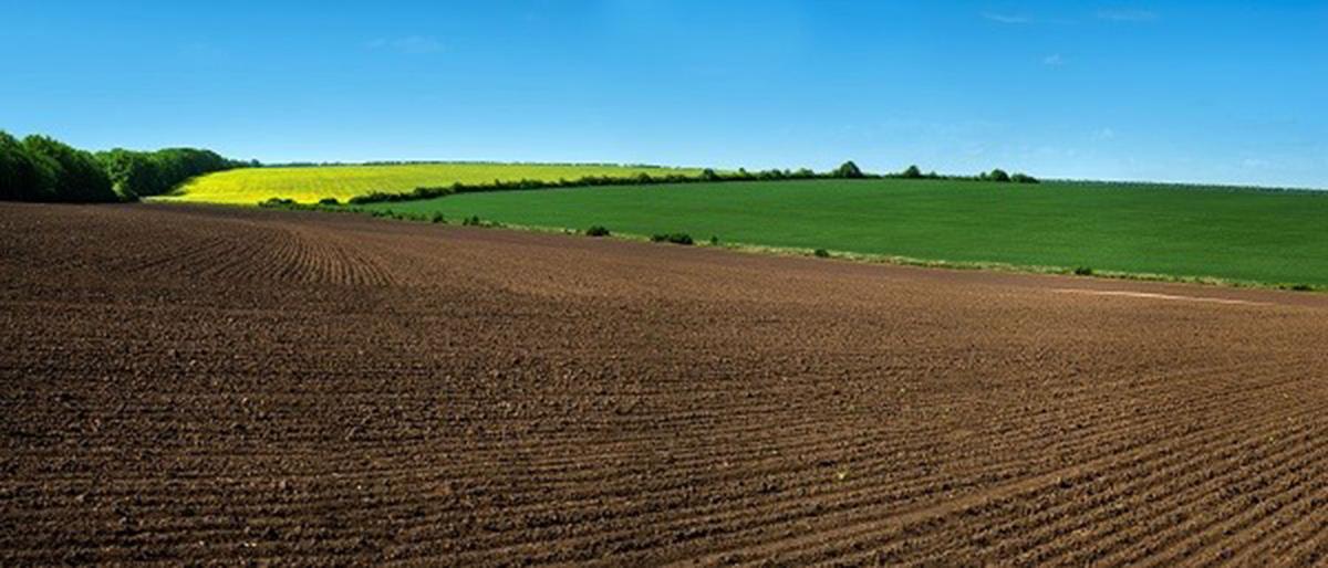Farmland