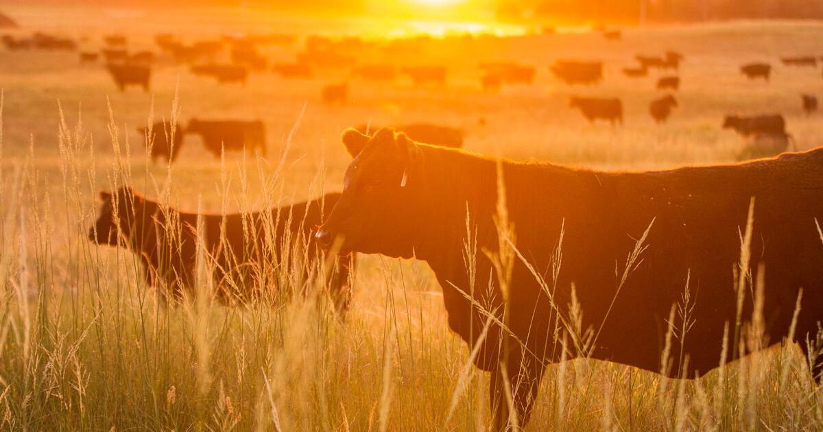 Grant funds available to help farmers, ranchers with succession planning