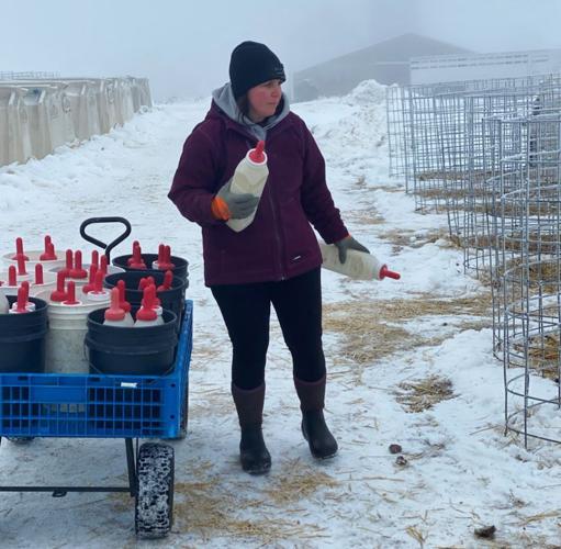 Krista Dolan prepares to feed calves