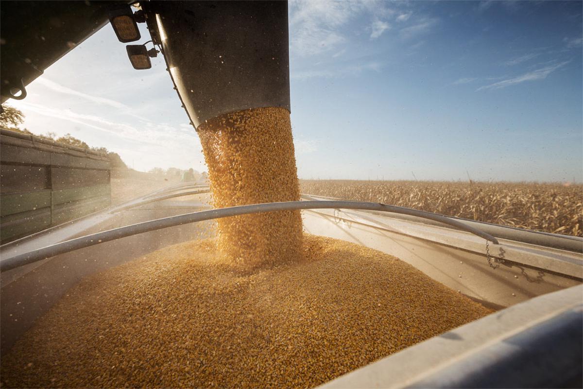 DuPont Pioneer photo