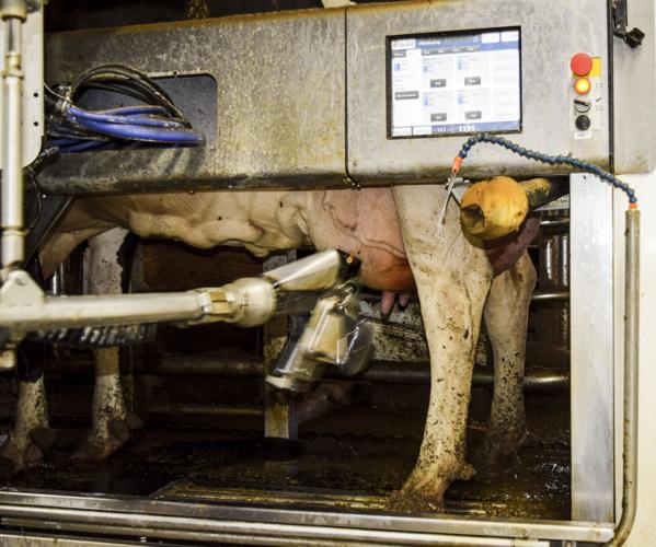 Milking robot