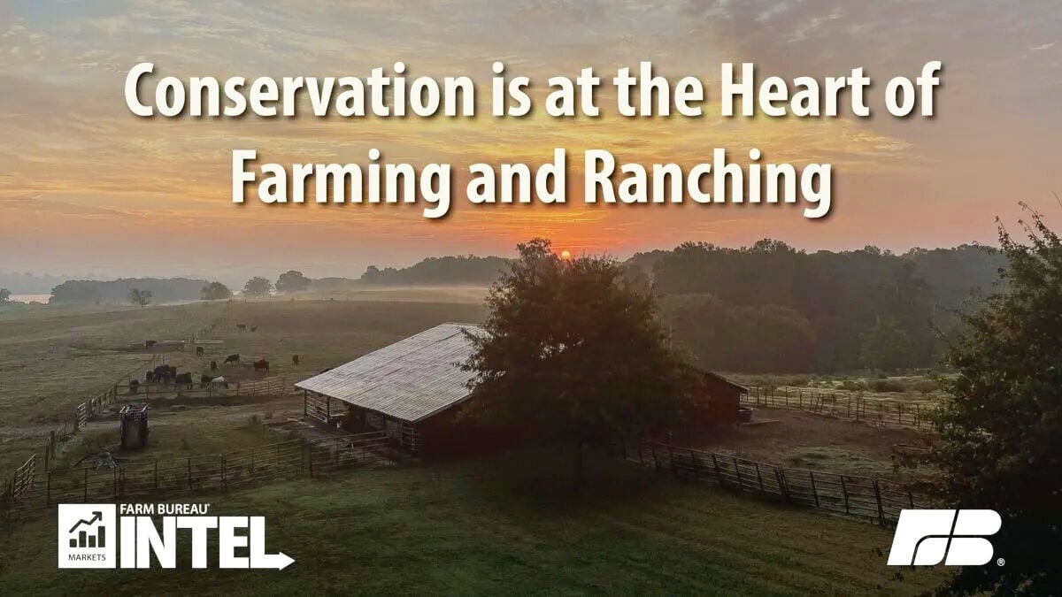 Conservation farming