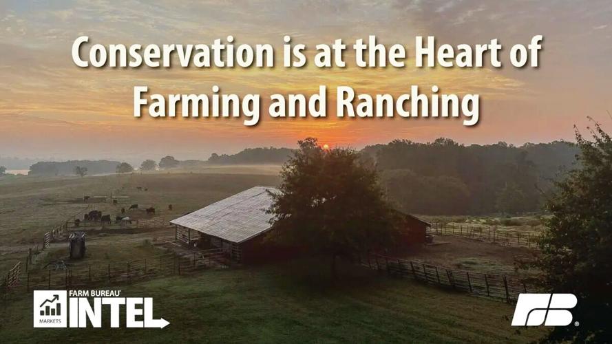 Conservation farming