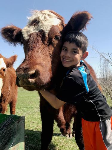 Barreras children livestock