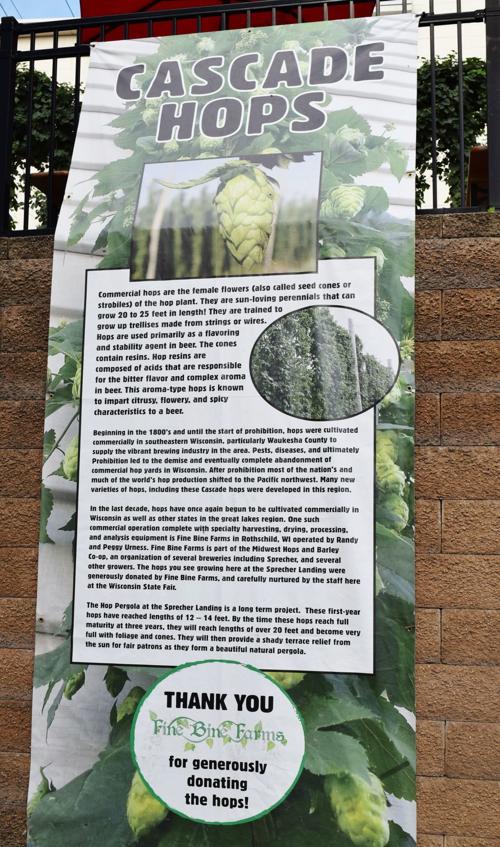 Hops exhibit