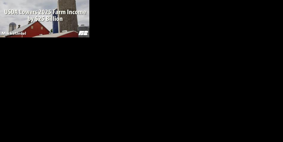 USDA reduces farm-income numbers