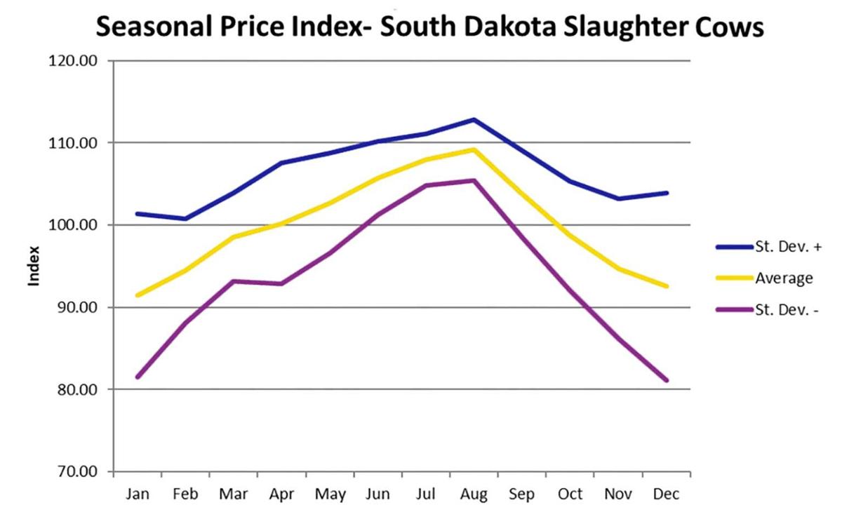 culling cattle graphic