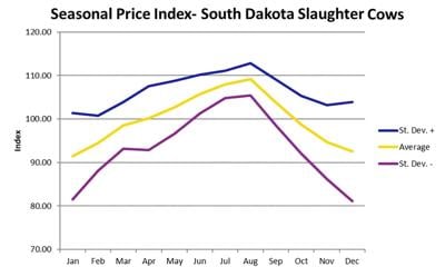 culling cattle graphic