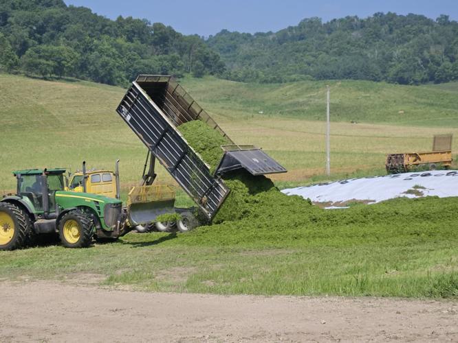 Dumping sileage
