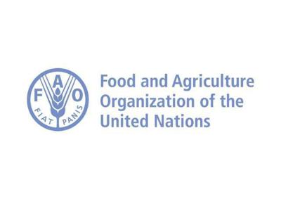 Global food prices increase | Agri-View | agupdate.com