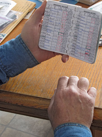 Calf book