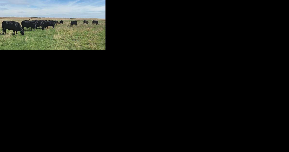 Precision grazing, conservation focus of Nebraska conference - Vimarsana News