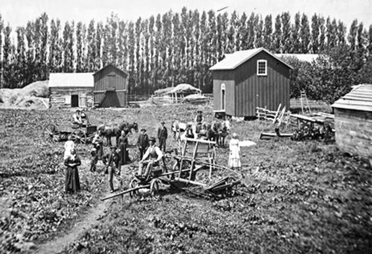Farm in 1873