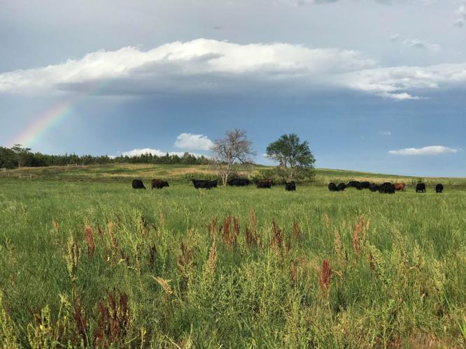 Late Season Rain (3).jpg