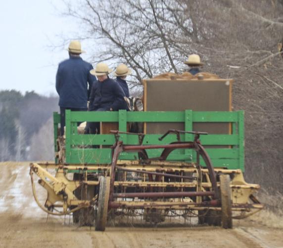 Amish farmers
