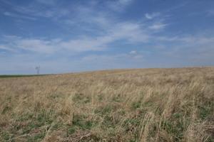 Back to grass: Focused on conservation, Midwest farmers return cropland to prairie state
