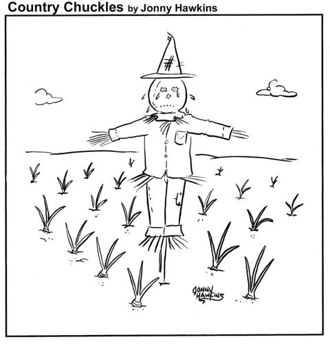 Country Chuckles by Jonny Hawkins