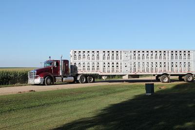 Truck photo from Pork Checkoff