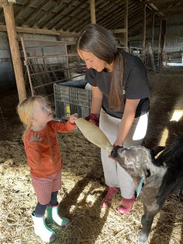 Down on the Farm 4.JPG