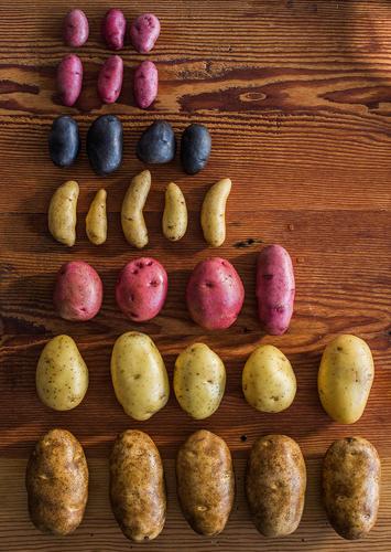 idaho potatoes