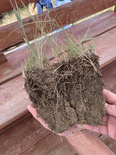 Climate smart ag