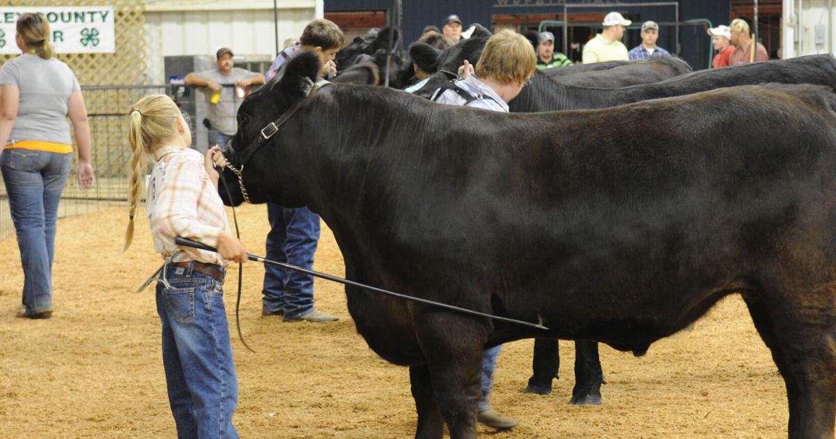 County Fair