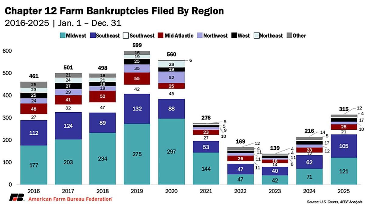 Bankruptcies by region