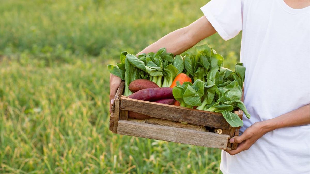 Container farming seeks to solve land access issues