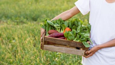 Container farming seeks to solve land access issues