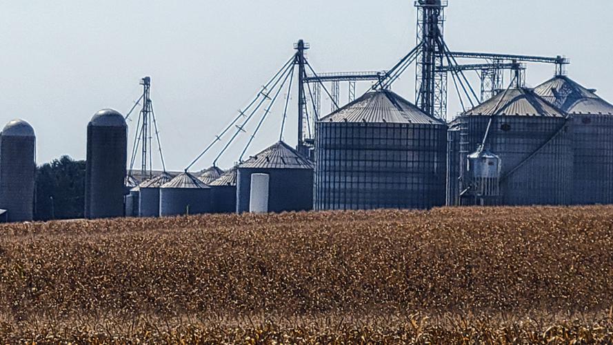 Grain elevator and bins