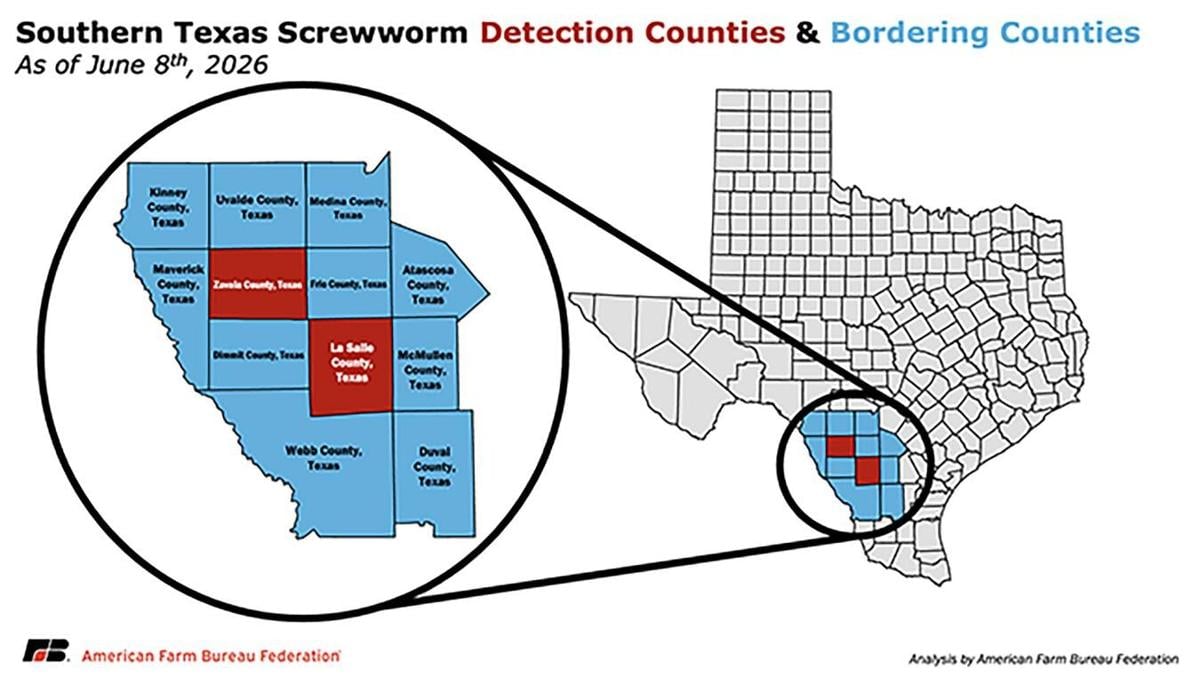 Southern Texas Detection Zone