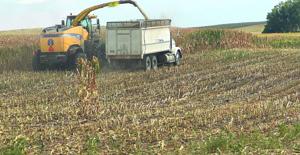 Silage chopping