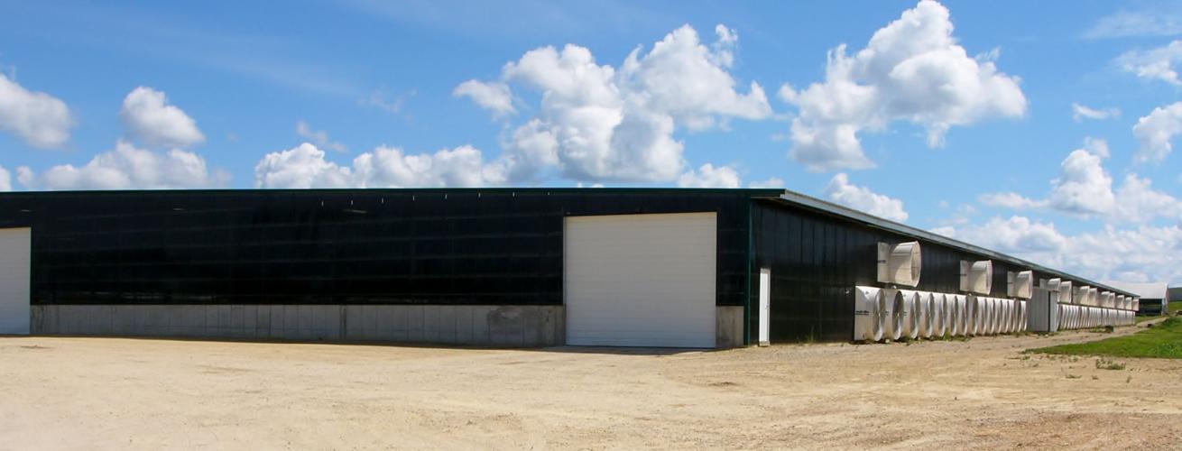 Cross-ventilated barn low-slung