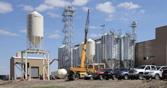Montana Specialty Mills