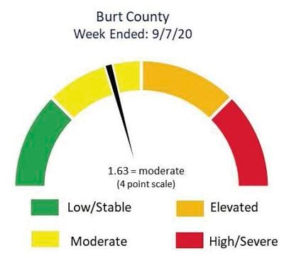 Risk Dial