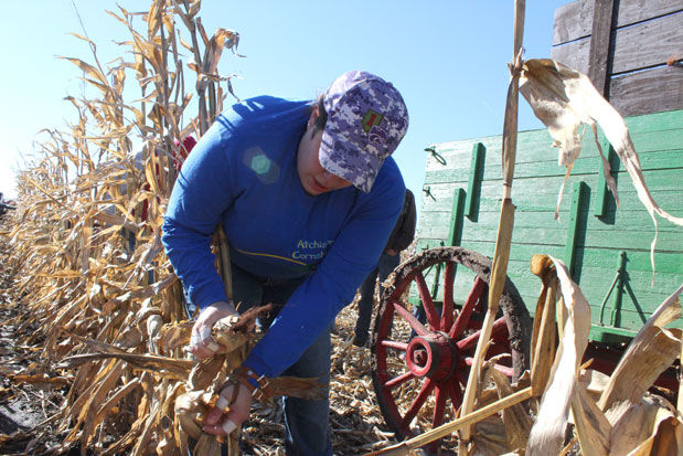 Kansas picker