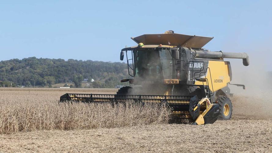 Joe Vinton harvests soybeans