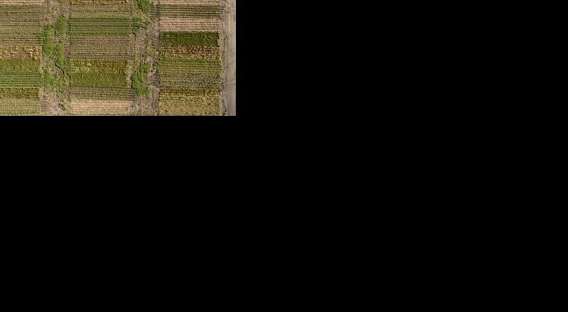 Aerial of field