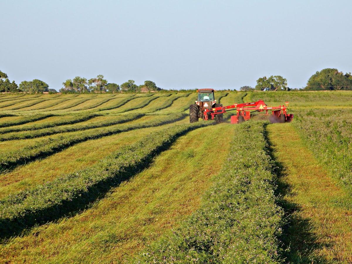 Swaths in the field