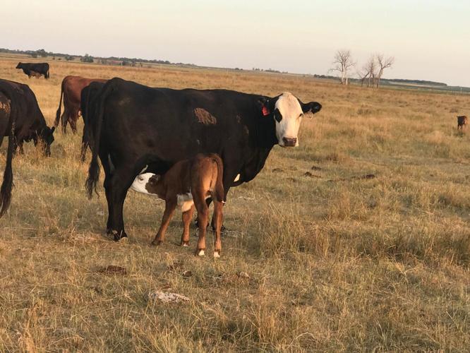 Late Season Rain (4).jpg