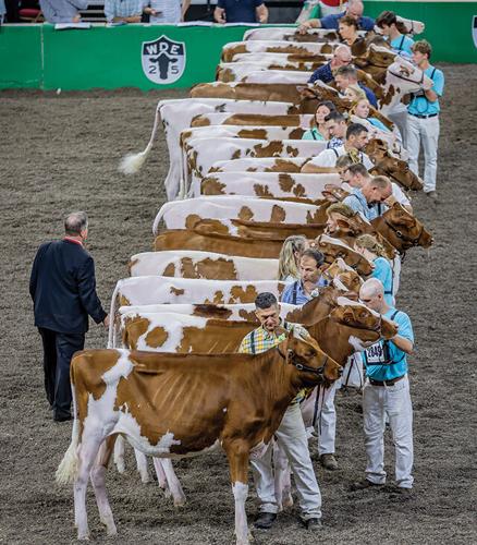 World Dairy Expo 2025