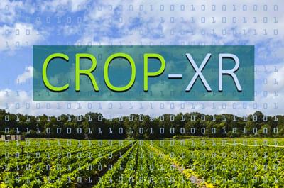 CROP-XR
