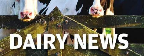 Dairy News logo graphic 2
