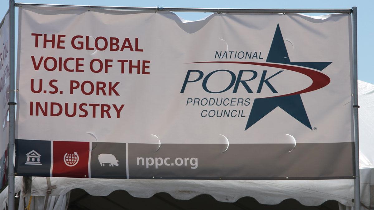 WPX Banner