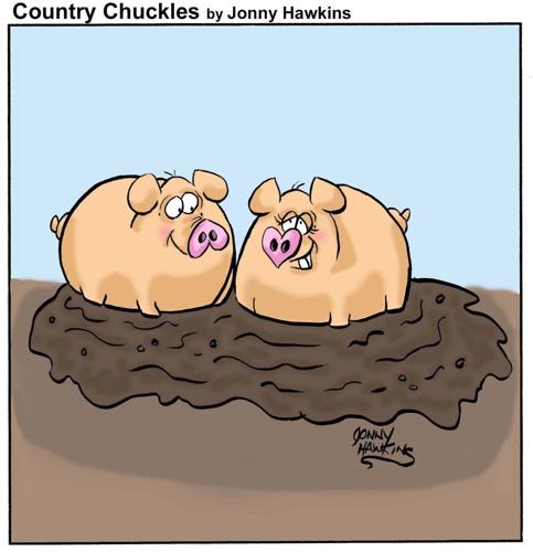 Country Chuckles by Jonny Hawkins
