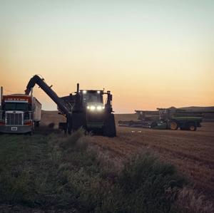 Spear harvest