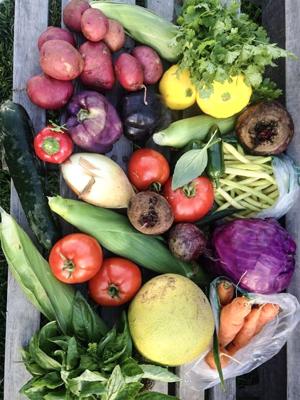 Extension helps growers raise their own ingredients