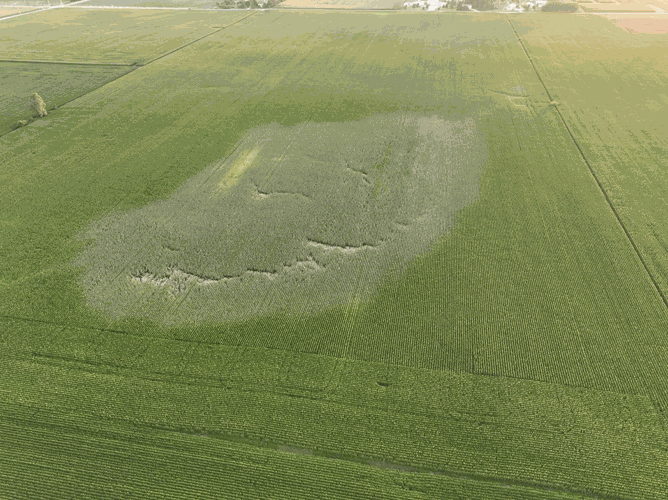 hillebo-flood-field-4.gif