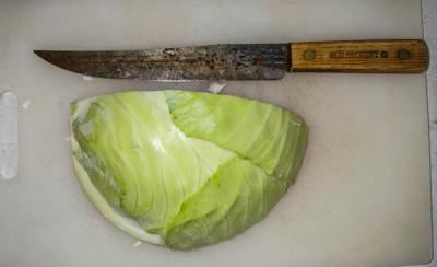 Cabbage